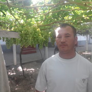  ,   Bohodir, 33 ,  