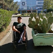 ���������� �����������, ���� ������� ������, 37 ���, ������������ ��� ������, ����� � ���������, c�������� ���������, ���������