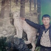 ���������� �������, ���� ������� ����, 36 ���, ������������ ��� ������, ����� � ���������, ���������