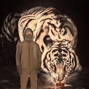 ���������� ����-�����������, ���� ������� ����, 29 ���, ������������ 