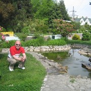  ,     , 65 ,  