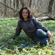  ,   , 55 ,  