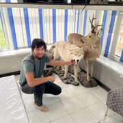  ,   Aslan, 27 ,   ,   