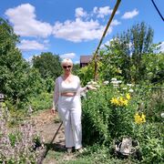 ���������� �����������, ���� ������� �����, 50 ���, ������������ ��� c�������� ���������, ���������