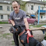 ���������� ��������, ���� ������� ���������, 34 ����, ������������ ��� ������, ����� � ���������, c�������� ���������