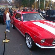 ���������� ������, ���� ������� ���, 31 ���, ������������ ��� ���������