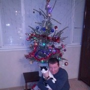  ,   , 52 ,   
