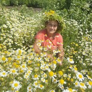 ���������� �����, ���� ������� ������, 60 ���, ������������ ��� c�������� ���������