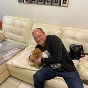 ���������� �����-���������, ���� ������� �����, 43 ����, ������������ ��� ������, ����� � ���������, c�������� ���������, ���������