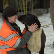 ���������� �����-���������, ���� ������� ����, 63 ����, ������������ ��� c�������� ���������, ���������