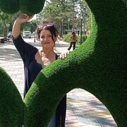 ���������� ���������, ���� ������� �����, 49 ���, ������������ ��� c�������� ���������