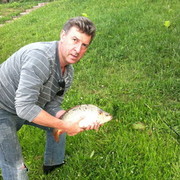 ���������� ������, ���� ������� ������, 61 ���, ������������ ��� ������