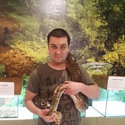 ���������� �������, ���� ������� ����������, 33 ����, ������������ ��� ������, ����� � ���������, c�������� ���������, ���������