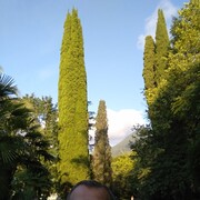  ,   , 41 ,   ,   , c 