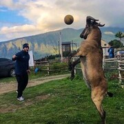  ,   Marat, 34 ,   ,   