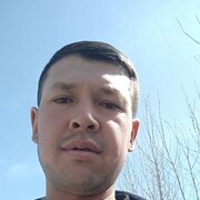 ���������� ���������, ���� ������� Elbek, 31 ���, ������������ ��� ������, ����� � ���������