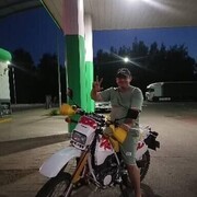 ���������� ������, ���� ������� ����, 38 ���, ������������ ��� ������, ����� � ���������, c�������� ���������, ���������