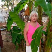 ���������� ����, ���� ������� �����, 62 ����, ������������ ��� ������, ����� � ���������