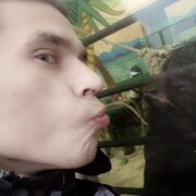 ���������� �����, ���� ������� ����, 33 ����, ������������ ��� ������, ����� � ���������, c�������� ���������, ���������