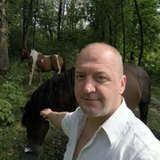 ���������� �����, ���� ������� White, 48 ���, ������������ ��� ����� � ���������, c�������� ���������