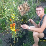 ���������� ����, ���� ������� �������, 43 ����, ������������ ��� ������, ����� � ���������, c�������� ���������