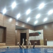 ���������� �������, ���� ������� ARA, 33 ����, ������������ ��� ����� � ���������, c�������� ���������