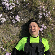 ���������� ������, ���� ������� ����������, 36 ���, ������������ ��� ������, ����� � ���������