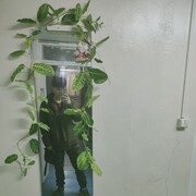  -,   , 22 ,   ,   , 