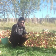  ,   Tlka, 51 ,     , c 