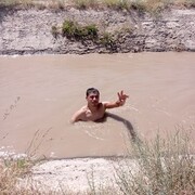  ,   Gulyam, 88 ,   ,   
