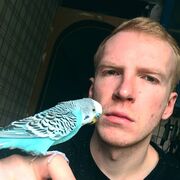 ���������� ������, ���� ������� Aleksandr, 31 ���, ������������ ��� ������, ����� � ���������