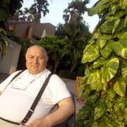  ,   , 73 ,   