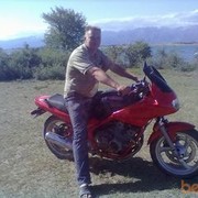  ,   Kot, 46 ,   