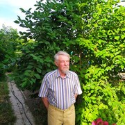  ,   , 77 ,   c 