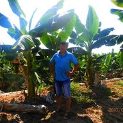 ���������� �����, ���� ������� ������, 55 ���, ������������ ��� ������, ����� � ���������, c�������� ���������