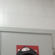 ���������� ������������, ���� ������� �������, 49 ���, ������������ ��� ������, ����� � ���������, c�������� ���������, ���������