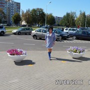  ,   , 63 ,   , 
