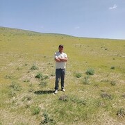  ,  Alisher, 31