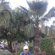  Ramat HaSharon,  Gruzin, 44