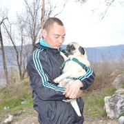 ���������� ������, ���� ������� �������, 38 ���, ������������ ��� ������, ����� � ���������, c�������� ���������