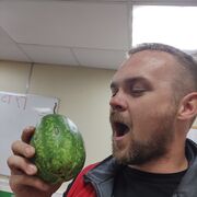 ���������� ����, ���� ������� ����, 37 ���, ������������ ��� c�������� ���������