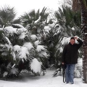  ,   , 60 ,   c 