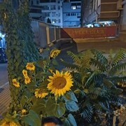  ,   , 38 ,   ,   , c , 