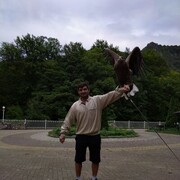 ���������� ���������, ���� ������� ������, 53 ����, ������������ ��� ����� � ���������, c�������� ���������, ���������