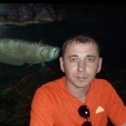 ���������� �������, ���� ������� �����, 48 ���, ������������ ��� ������, ����� � ���������, c�������� ���������, ���������