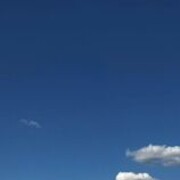 ���������� ������, ���� ������� ������, 44 ����, ������������ ��� ������, ����� � ���������, c�������� ���������