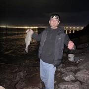 ���������� �����-���������, ���� ������� �������, 28 ���, ������������ ��� ������, ����� � ���������