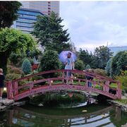 ���������� �����, ���� ������� Serg, 35 ���, ������������ ��� ����� � ���������, c�������� ���������