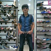 ���������� ������, ���� ������� TERLAN, 36 ���, ������������ ��� ������, ����� � ���������, c�������� ���������