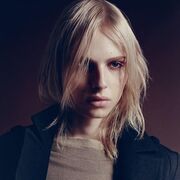 ���������� ������, ������